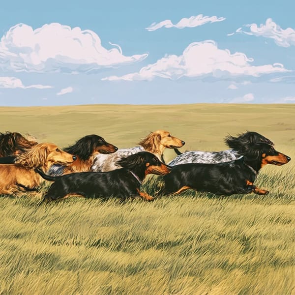 #372 AIもデザインシステムも銀の弾丸ではない（sakitoさん）